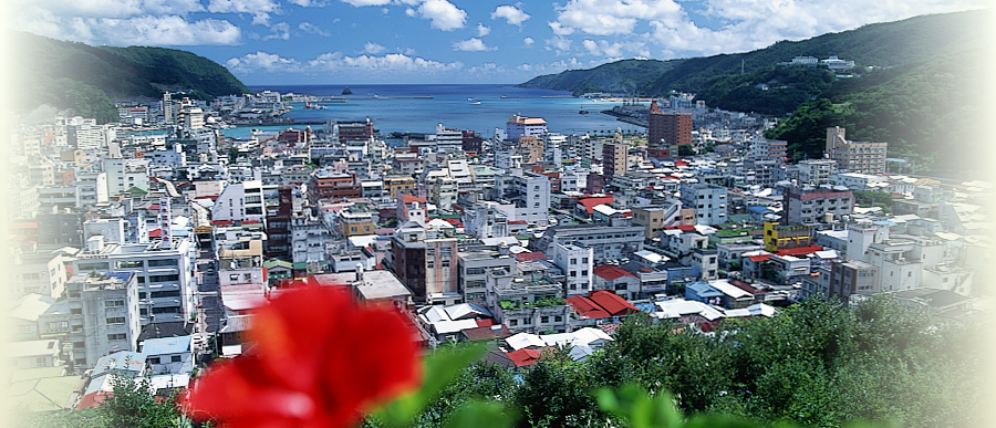 奄美市街地